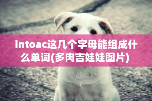 intoac這幾個字母能組成什么單詞(多肉吉娃娃圖片) 