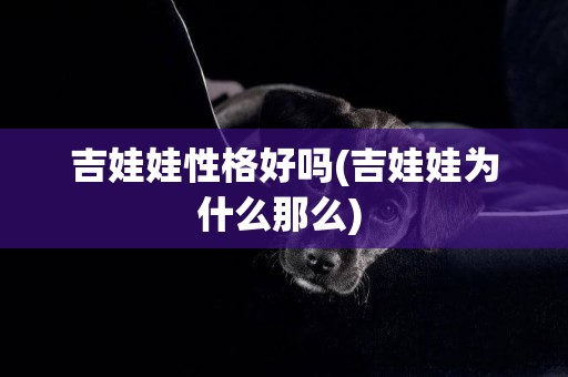 吉娃娃性格好嗎(吉娃娃為什么那么) 