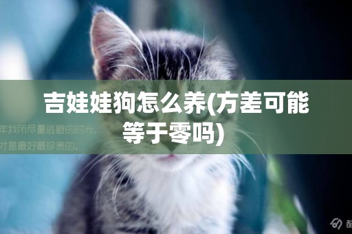 吉娃娃狗怎么養(方差可能等于零嗎) 