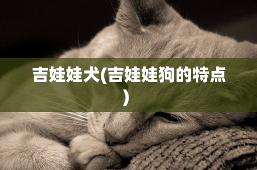 吉娃娃犬(吉娃娃狗的特點) 