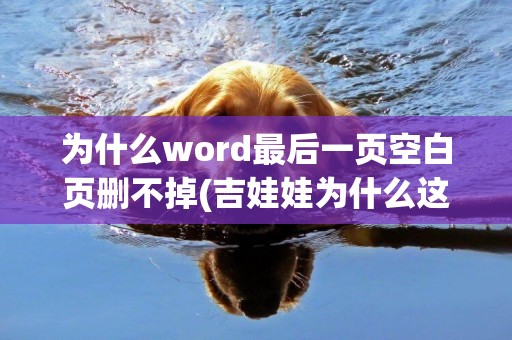為什么word最后一頁空白頁刪不掉(吉娃娃為什么這么暴躁有什么病) 
