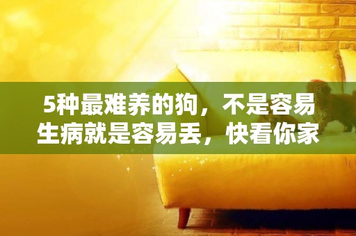 5種最難養的狗，不是容易生病就是容易丟，快看你家有沒有同款！ 