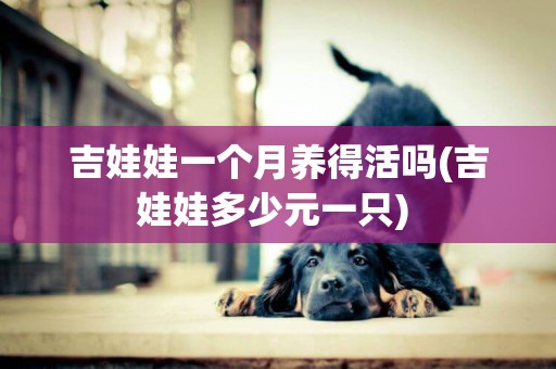 吉娃娃一個月養得活嗎(吉娃娃多少元一只) 