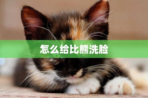 怎么給比熊洗臉