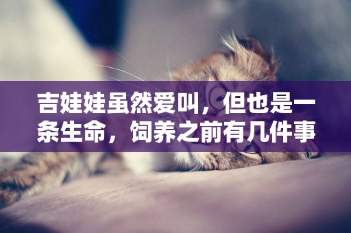 吉娃娃雖然愛叫，但也是一條生命，飼養之前有幾件事要清楚 