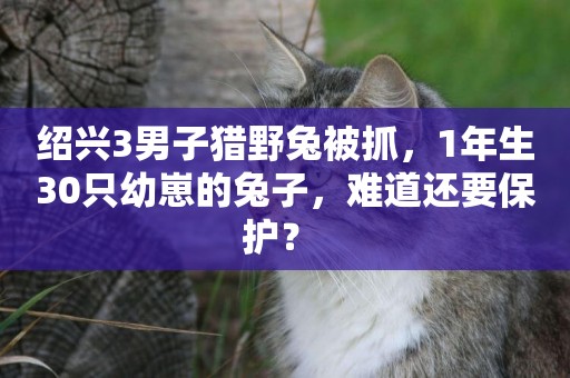 紹興3男子獵野兔被抓，1年生30只幼崽的兔子，難道還要保護？ 