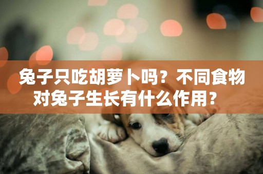 兔子只吃胡蘿卜嗎？不同食物對兔子生長有什么作用？ 