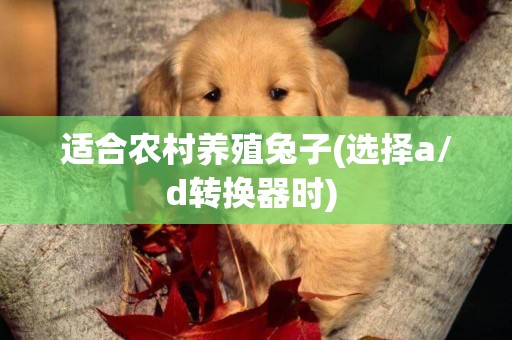 適合農村養殖兔子(選擇a/d轉換器時) 