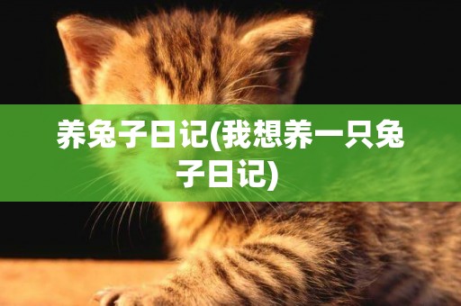 養兔子日記(我想養一只兔子日記) 