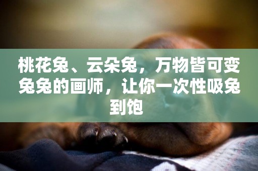 桃花兔、云朵兔，萬物皆可變兔兔的畫師，讓你一次性吸兔到飽 