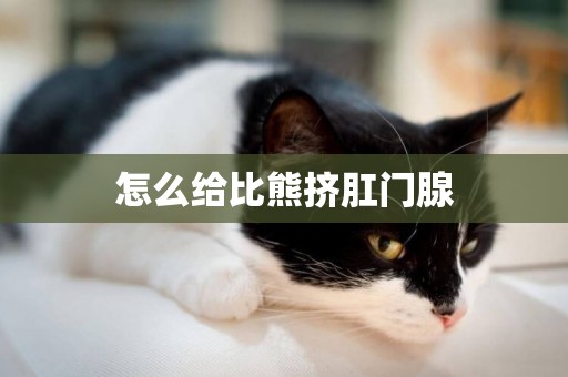 怎么給比熊擠肛門腺