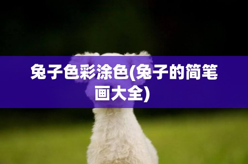 兔子色彩涂色(兔子的簡筆畫大全) 