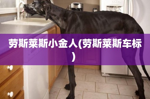勞斯萊斯小金人(勞斯萊斯車標) 