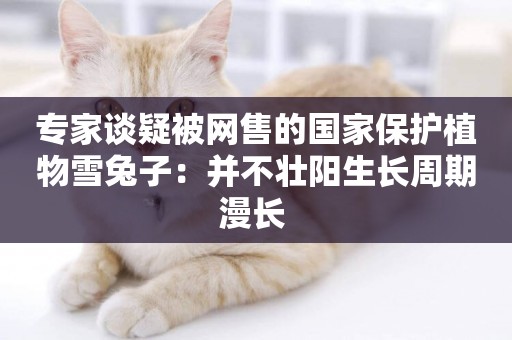 專家談疑被網售的國家保護植物雪兔子：并不壯陽生長周期漫長 