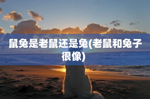 鼠兔是老鼠還是兔(老鼠和兔子很像) 