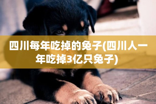 四川每年吃掉的兔子(四川人一年吃掉3億只兔子) 