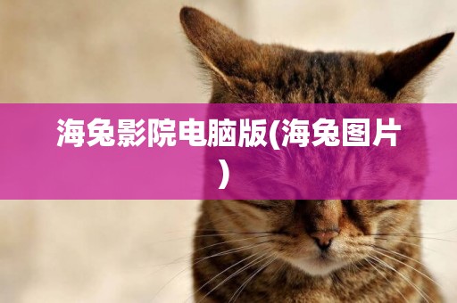 海兔影院電腦版(海兔圖片) 