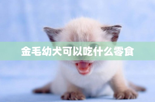 金毛幼犬可以吃什么零食