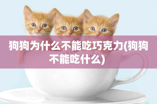 狗狗為什么不能吃巧克力(狗狗不能吃什么) 