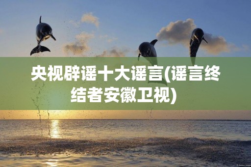 央視辟謠十大謠言(謠言終結者安徽衛視) 