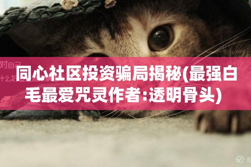 同心社區投資騙局揭秘(最強白毛最愛咒靈作者:透明骨頭) 