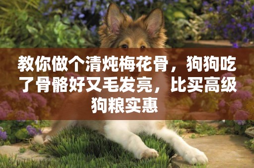 教你做個清燉梅花骨，狗狗吃了骨骼好又毛發亮，比買高級狗糧實惠 