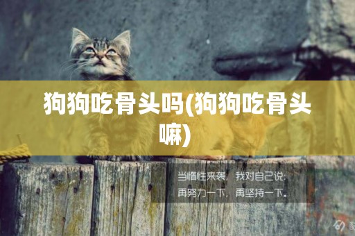 狗狗吃骨頭嗎(狗狗吃骨頭嘛) 