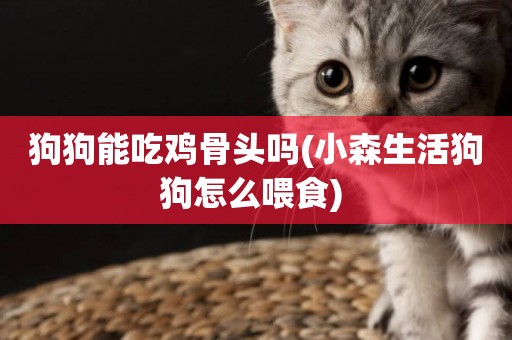 狗狗能吃雞骨頭嗎(小森生活狗狗怎么喂食) 