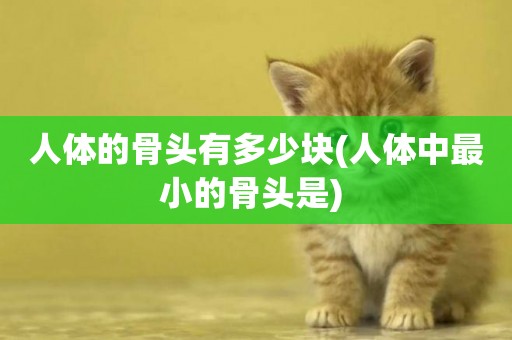 人體的骨頭有多少塊(人體中最小的骨頭是) 