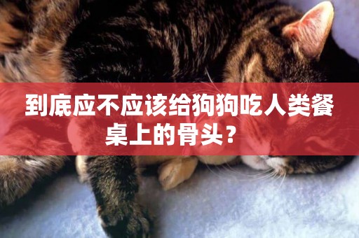 到底應不應該給狗狗吃人類餐桌上的骨頭？ 