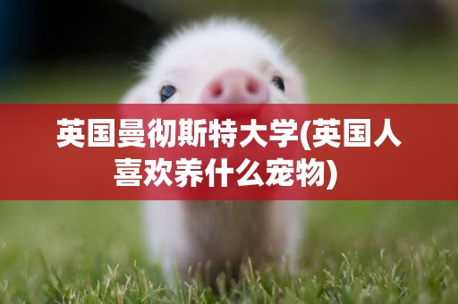 英國曼徹斯特大學(英國人喜歡養什么寵物) 