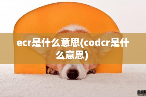 ecr是什么意思(codcr是什么意思) 