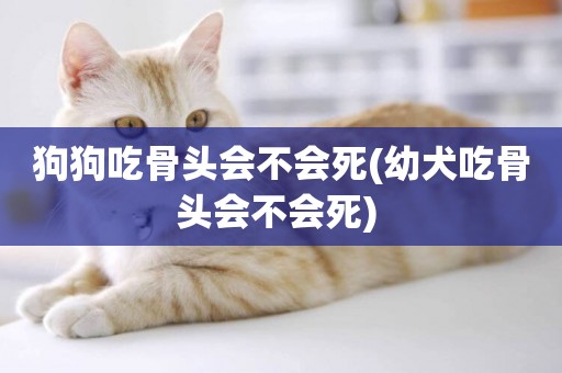 狗狗吃骨頭會不會死(幼犬吃骨頭會不會死) 