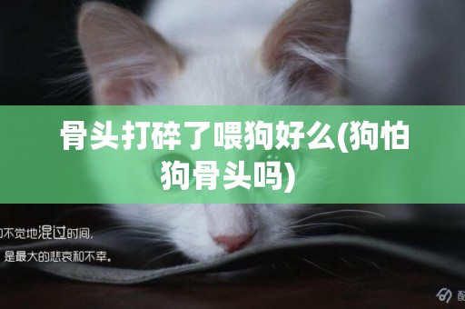 骨頭打碎了喂狗好么(狗怕狗骨頭嗎) 
