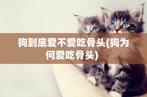 狗到底愛不愛吃骨頭(狗為何愛吃骨頭) 