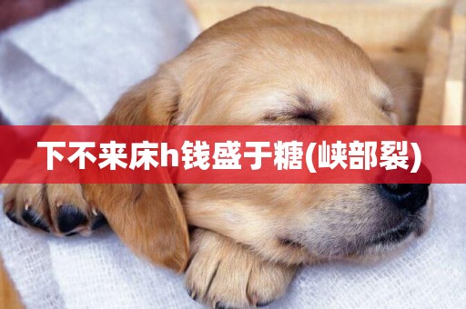 下不來床h錢盛于糖(峽部裂) 
