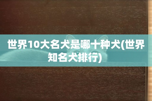 世界10大名犬是哪十種犬(世界知名犬排行) 