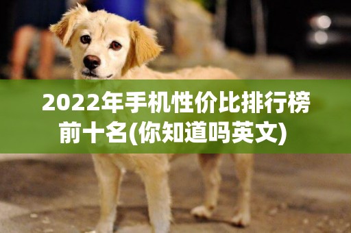 2022年手機性價比排行榜前十名(你知道嗎英文) 