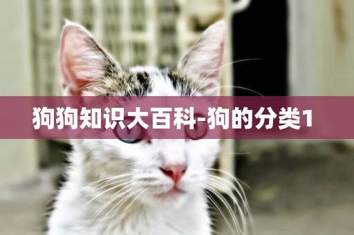 狗狗知識大百科-狗的分類1 