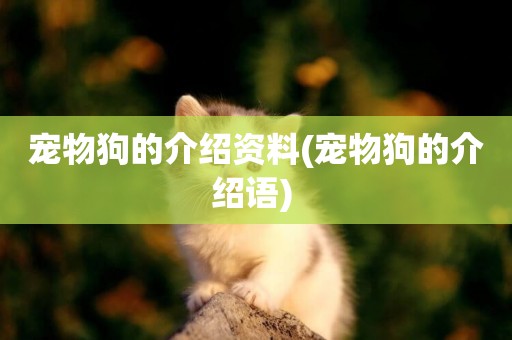 寵物狗的介紹資料(寵物狗的介紹語) 