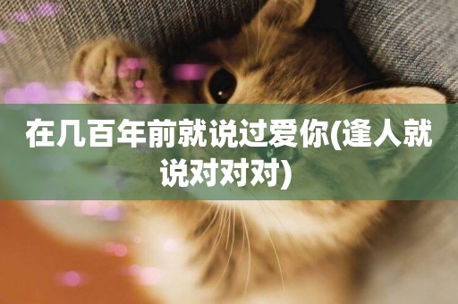 在幾百年前就說過愛你(逢人就說對對對) 