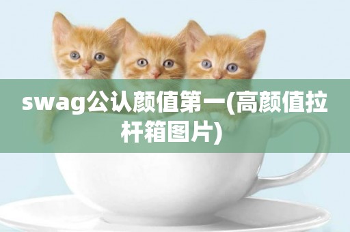 swag公認顏值第一(高顏值拉桿箱圖片) 