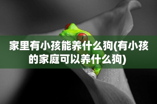 家里有小孩能養什么狗(有小孩的家庭可以養什么狗) 