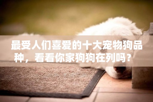 最受人們喜愛的十大寵物狗品種，看看你家狗狗在列嗎？ 