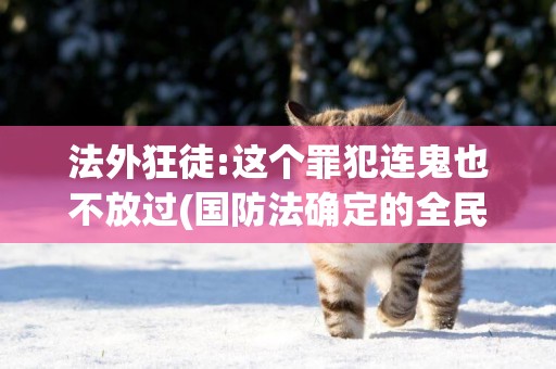 法外狂徒:這個罪犯連鬼也不放過(國防法確定的全民防衛原則就是一旦發生戰爭要動員廣大) 
