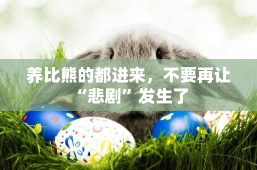 養比熊的都進來，不要再讓“悲劇”發生了 