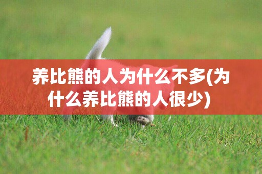 養比熊的人為什么不多(為什么養比熊的人很少) 