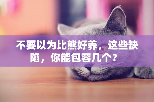 不要以為比熊好養，這些缺陷，你能包容幾個？ 