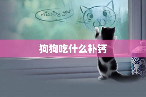 狗狗吃什么補鈣