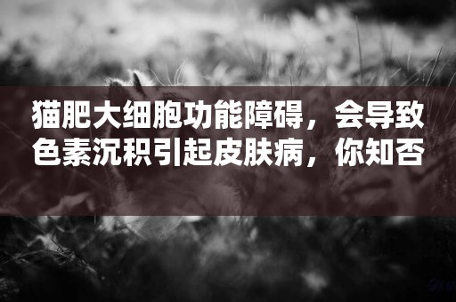 貓肥大細胞功能障礙，會導致色素沉積引起皮膚病，你知否 
